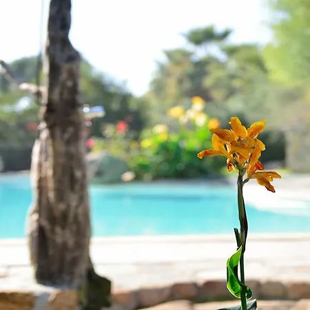 La Plage * 오므또