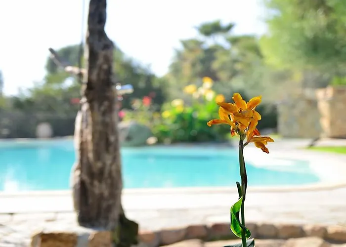 La Plage * Olmeto (Corsica)