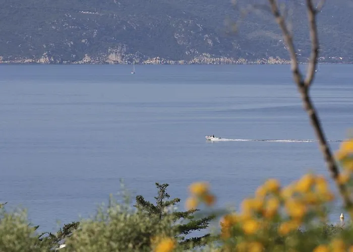 La Plage Olmeto (Corsica)