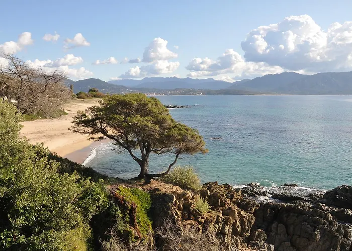 Prázdninový dům La Plage Olmeto (Corsica)